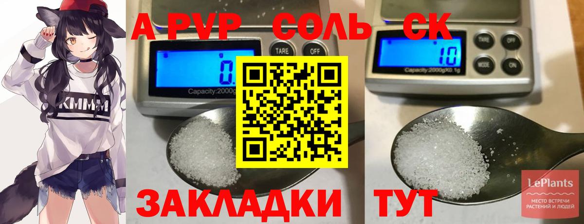 APVP СК Киселёвск
