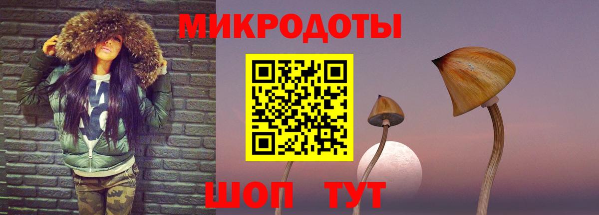 Псилоцибиновые грибы Psilocybine cubensis  Галлюциногенные грибы прущие грибы  Киселёвск  Вход с VPN 