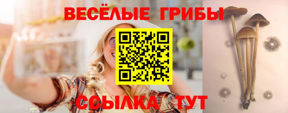 Псилоцибиновые грибы MAGIC MUSHROOMS Киселёвск